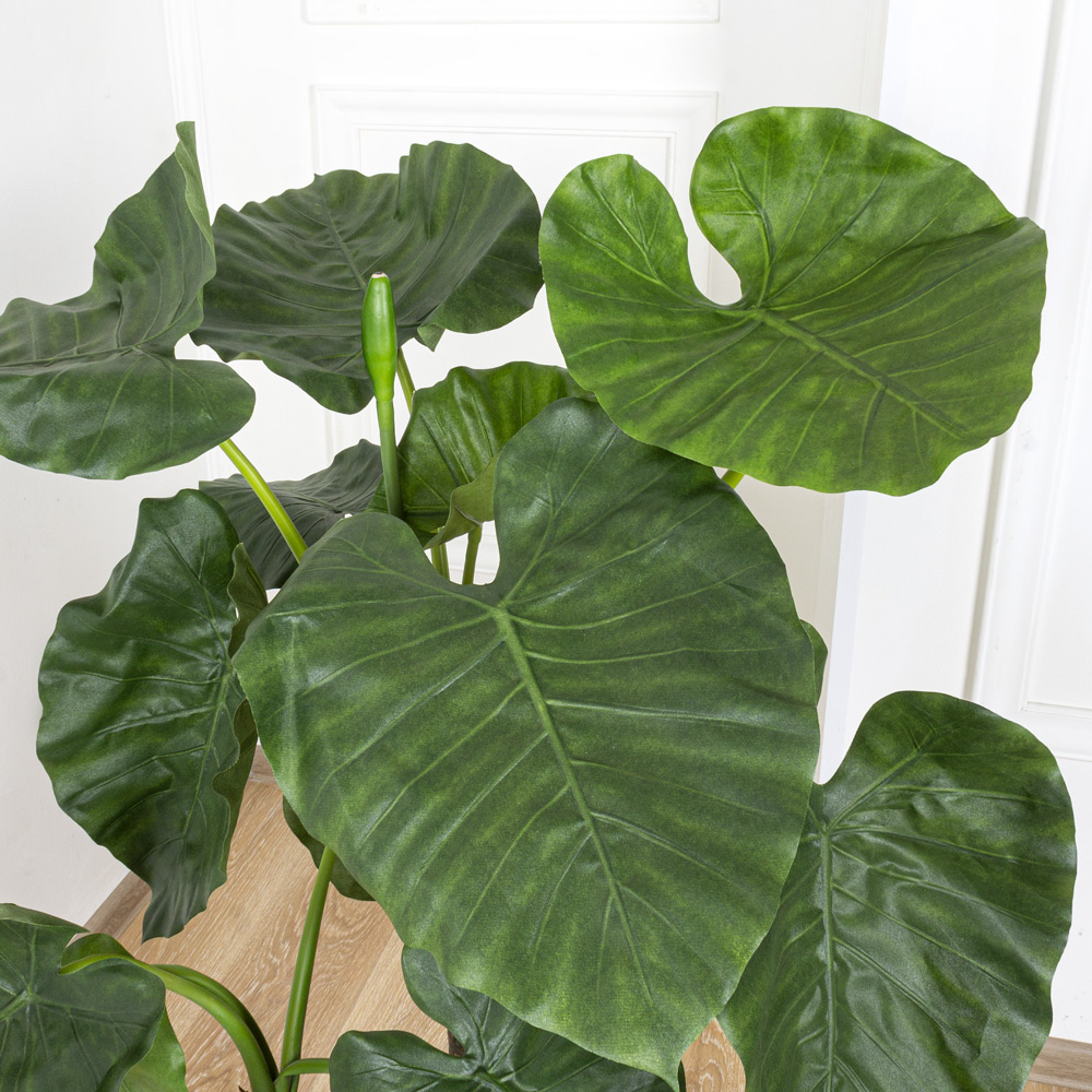 100/478(МТ)(Fix) Алоказия искусственная Калидора 2 ствола,h100см_2