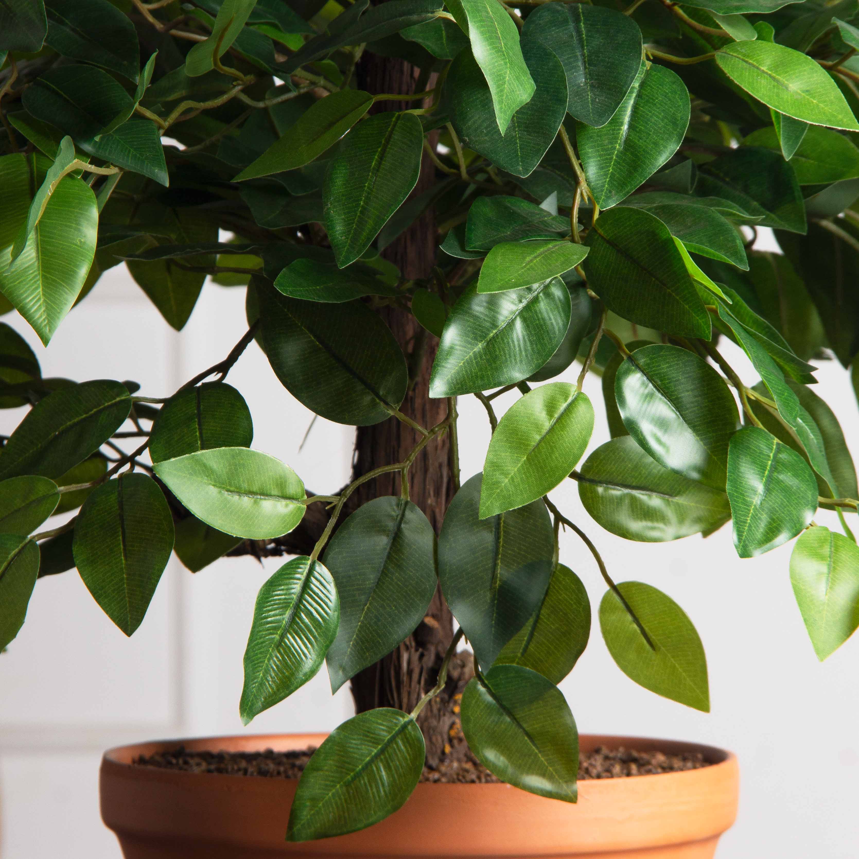 БЛ040/09МП(F) Бонсай искусственный Фикус французский h40см_4