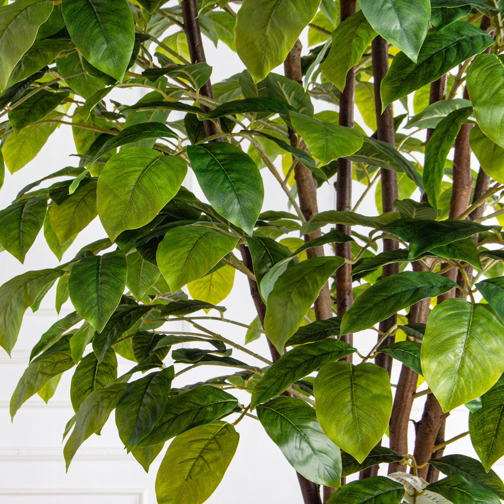 250/РН/537(з)(F) Липа искусственная h250см в кашпо (латекс)_3