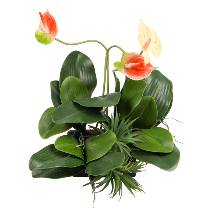 БК 23 Композиция с антуриумом на блоке 15*h10