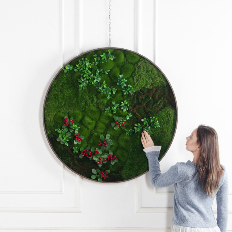 ФП20-4(з)(F) Фитопанно искусственное d100см в светлой раме_1