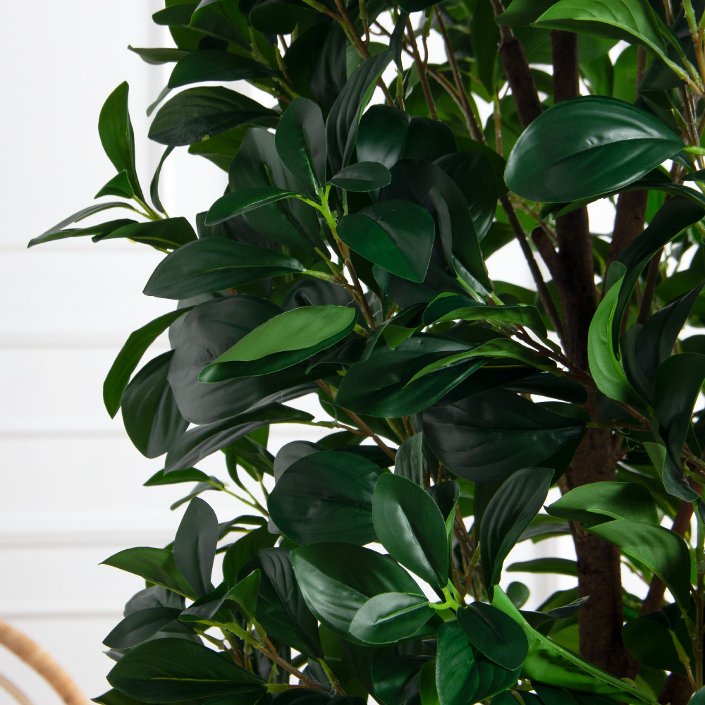 170/РН/64-1(з)(F) Рускус искусственный куст h170см_5