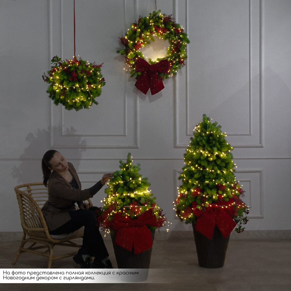 В15/СВ03т-2(Пр)(F) Венок искусственный НГ d70см, с красным декором и гирляндой Роса_6