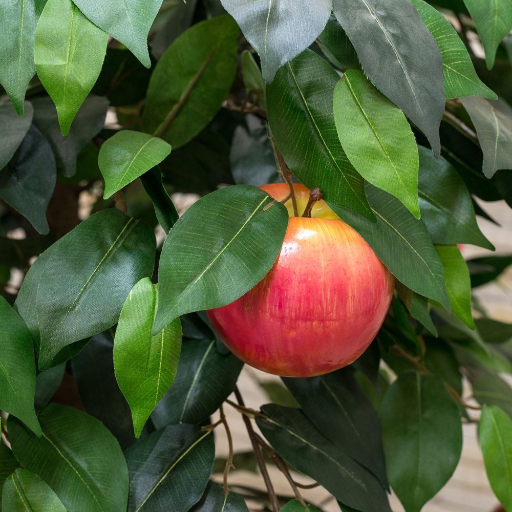 160/УК/35   Яблоня (удлин. крона) 160 см_2