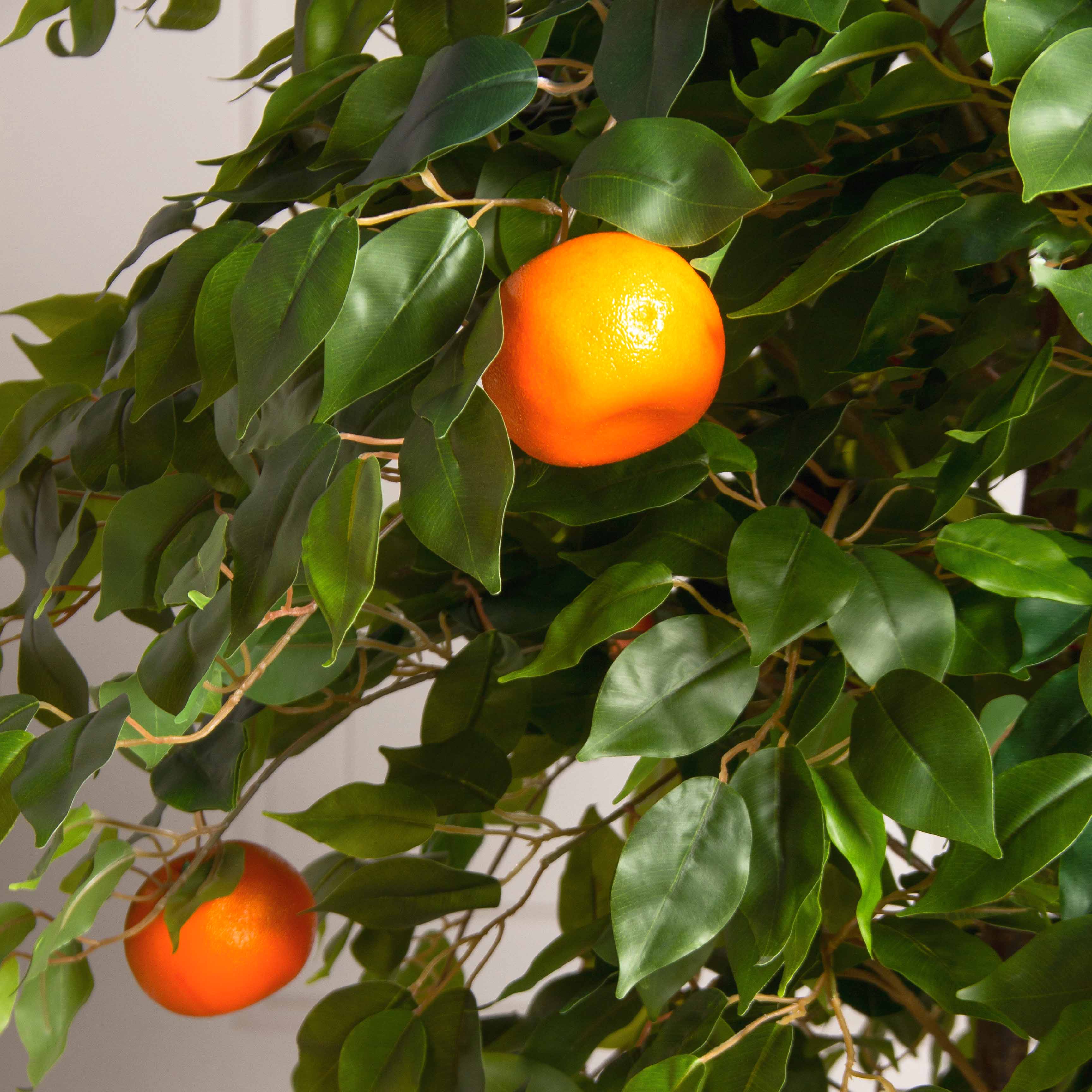 180/РПК/24М(Пр)(F) Мандарин искусственный с плодами h180см (латекс)_4