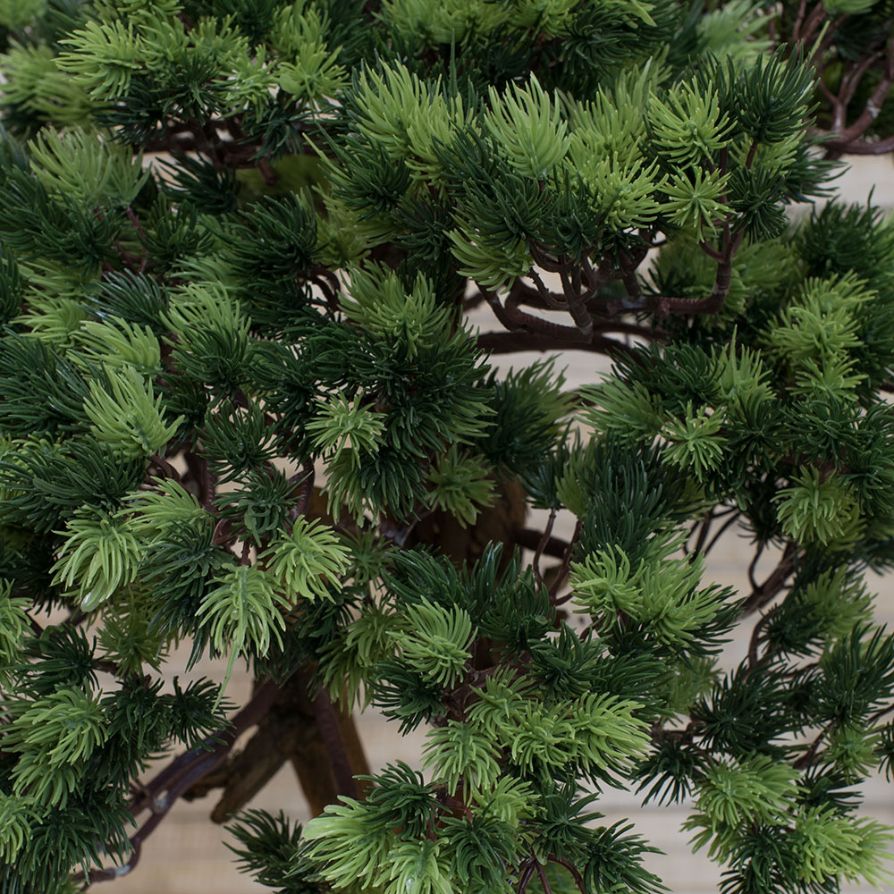 БС50/2К (П) Бонсай 