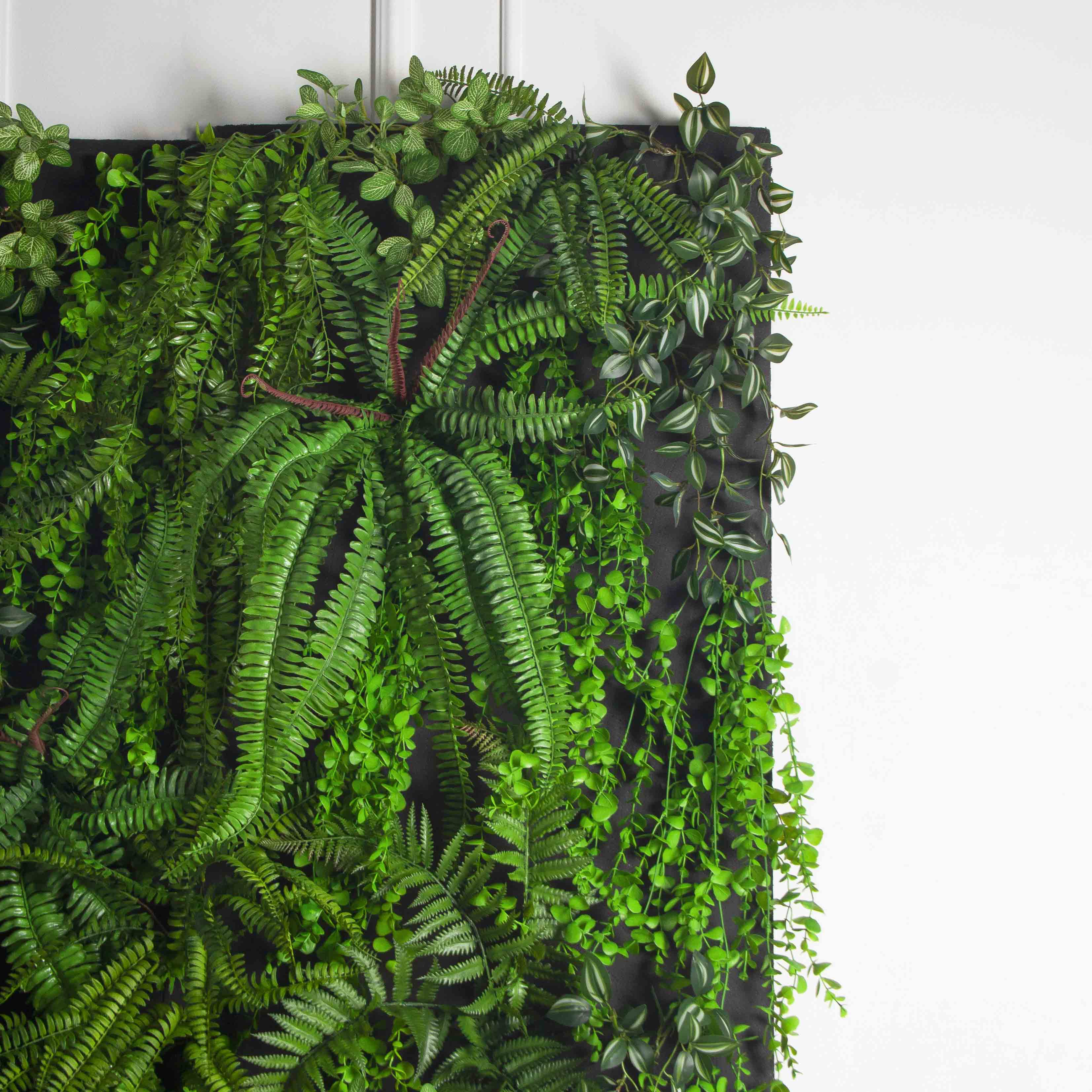 ФТС179(Пр)(F) Фитостена,  за 1кв.м_5