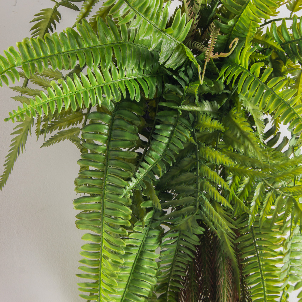 БК14/1(з) Композиция с папоротником на блоке h10х15см_1