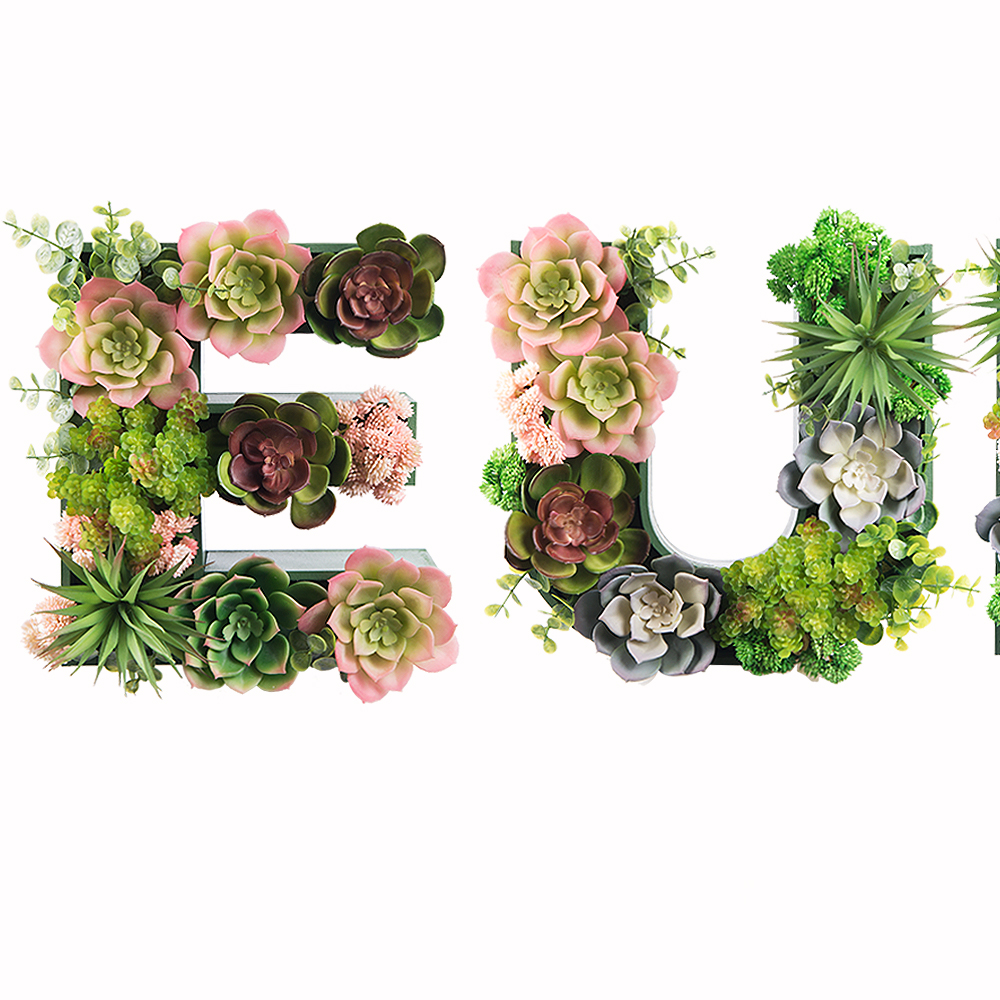 Логотип EUROMED KIDS с суккулентами (300*h27см)_6