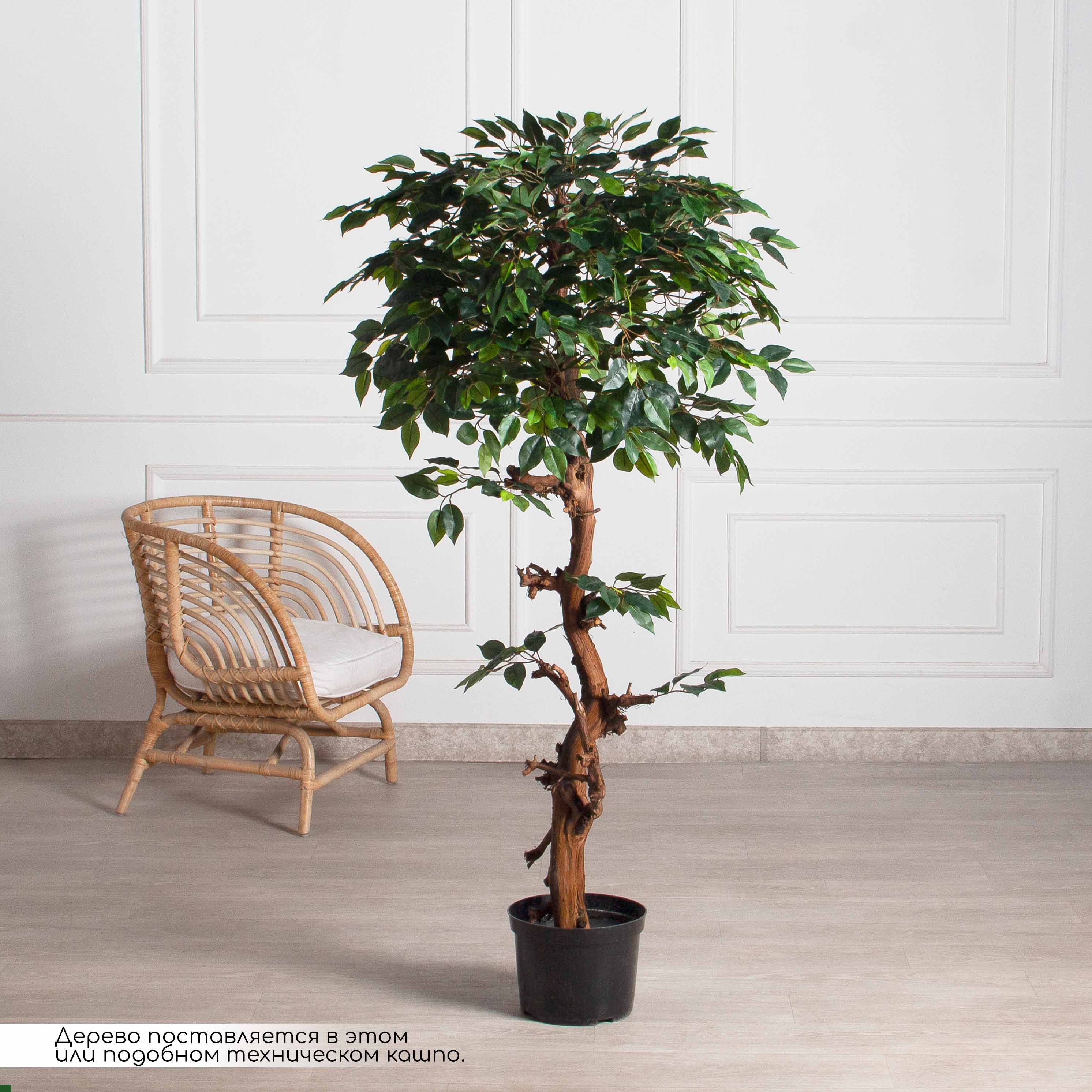 165/ОС/34(F) Фикус искусственный h165см (латекс)_2