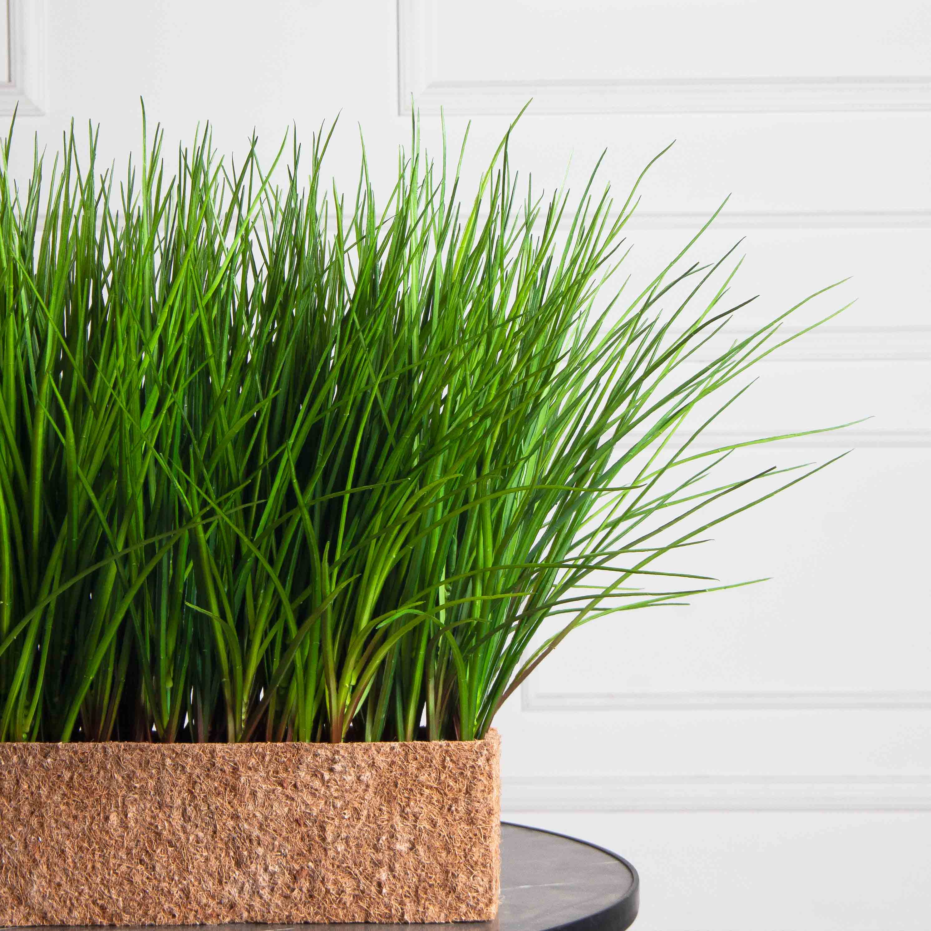 ТД078-1(F) Трава Осока искусственная h36см в кокосовом боксе 50х10х10см_6