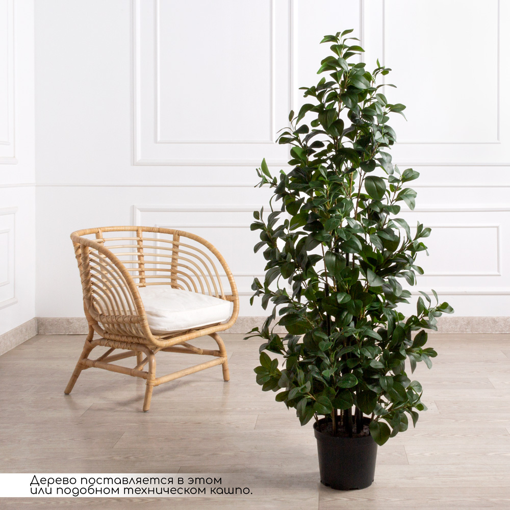 150/К/208(F) Рускус искусственный куст h150см в кашпо_1