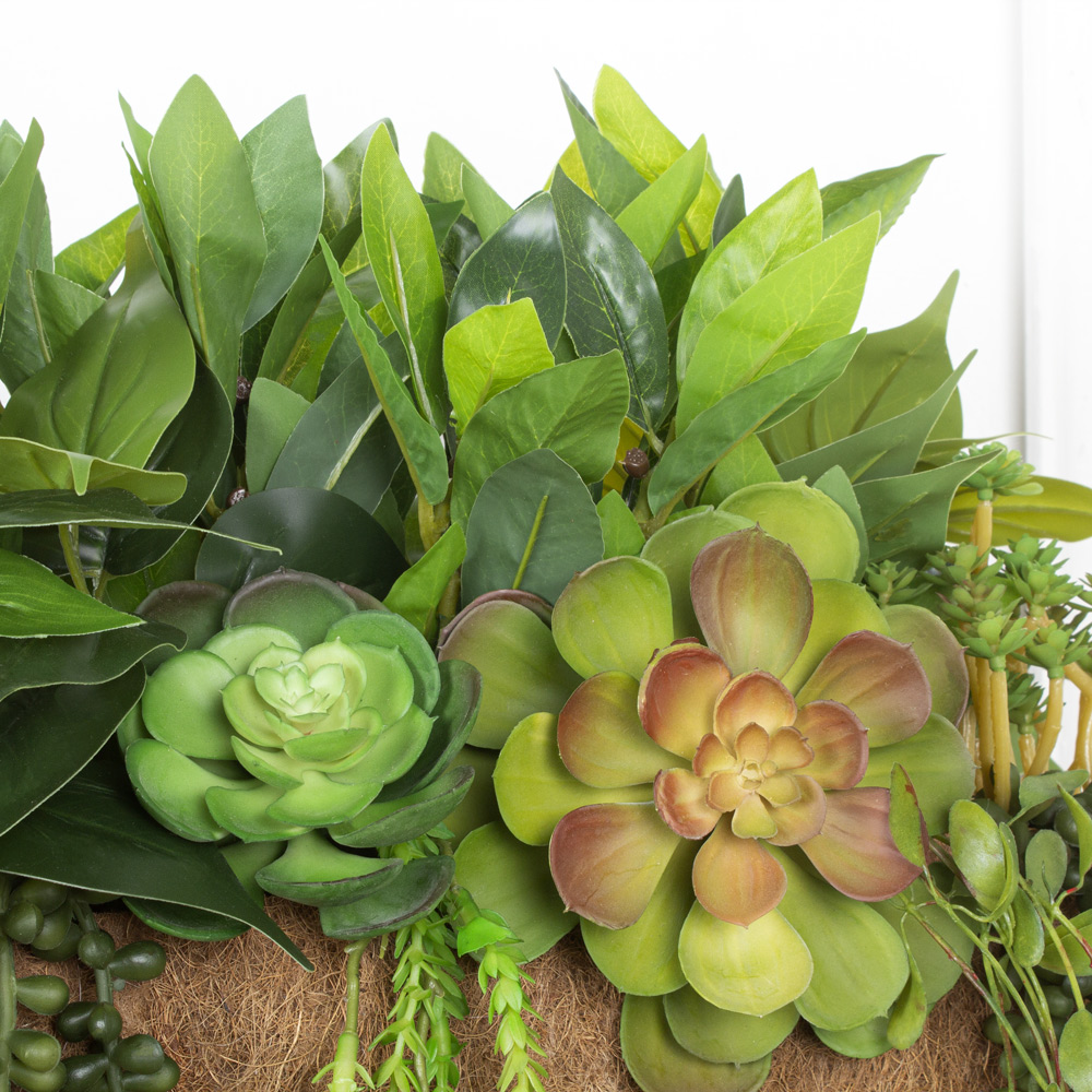 СКК14/7-2(з.) Композиц.из суккул.с зеленью в к.б(50х12х18)_11