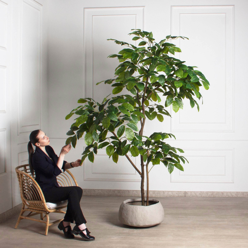 240/РН/АСС/618(Пр)(F) Магнолия искусственная h240см_1