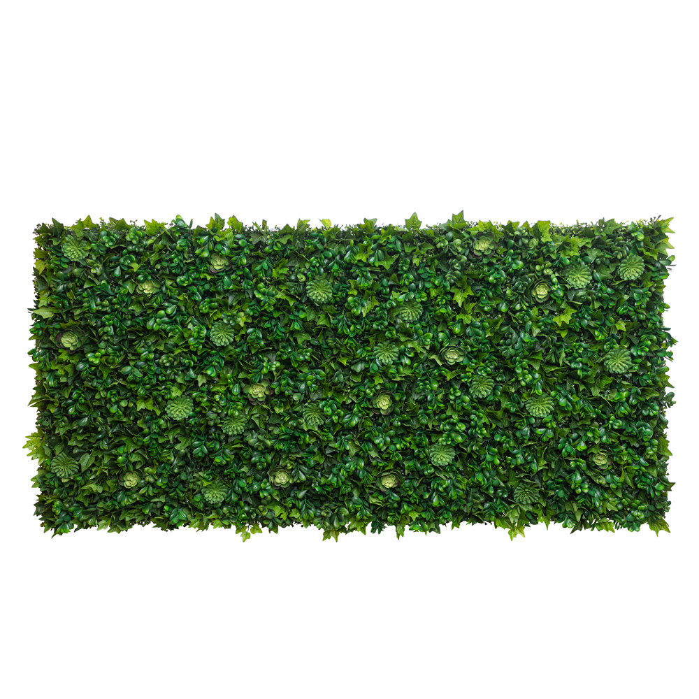 Фитостена 83/2(з.) с зел.суккулент. и чернич._1