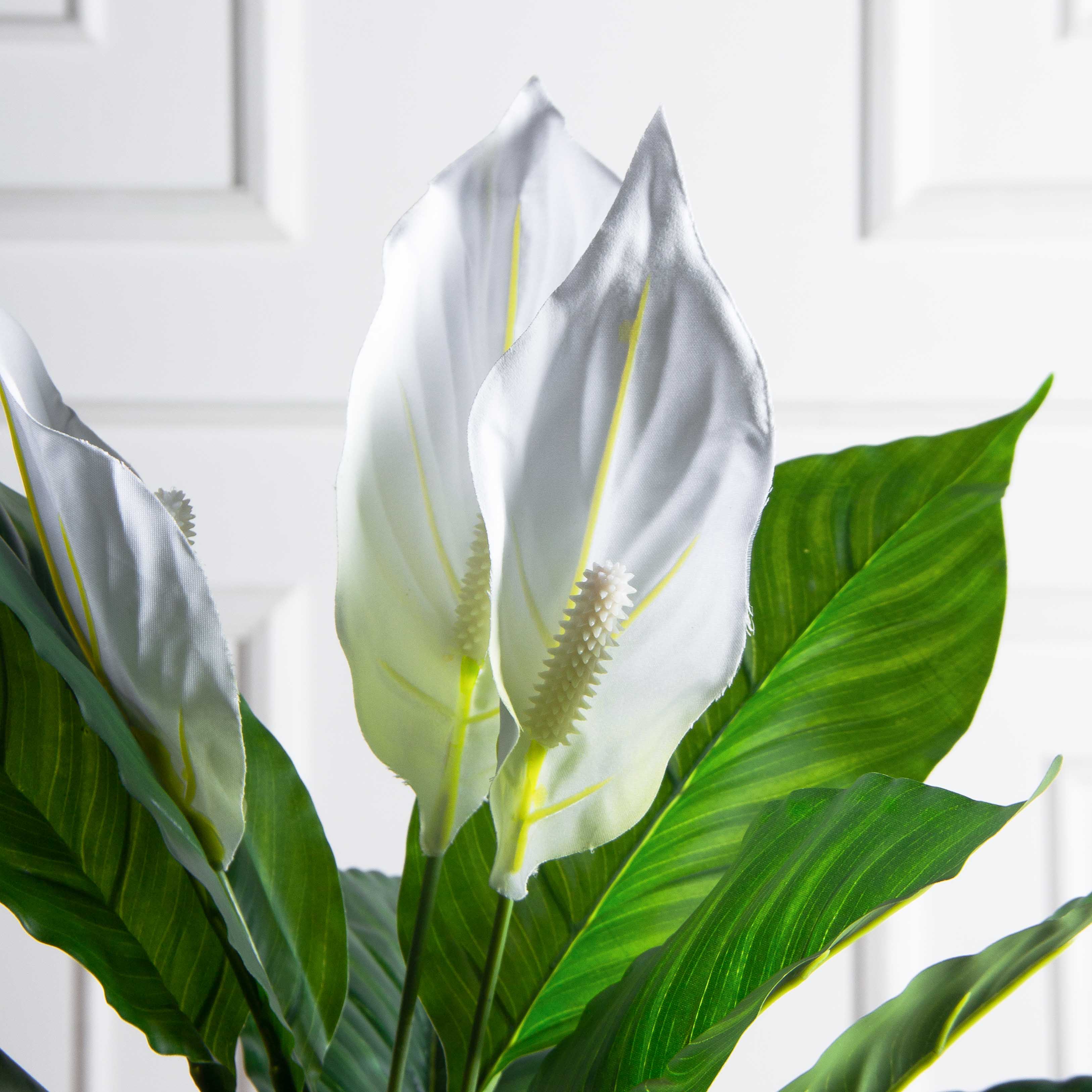 К60/217(F) Спатифиллум искусственный цветущий h60см_3