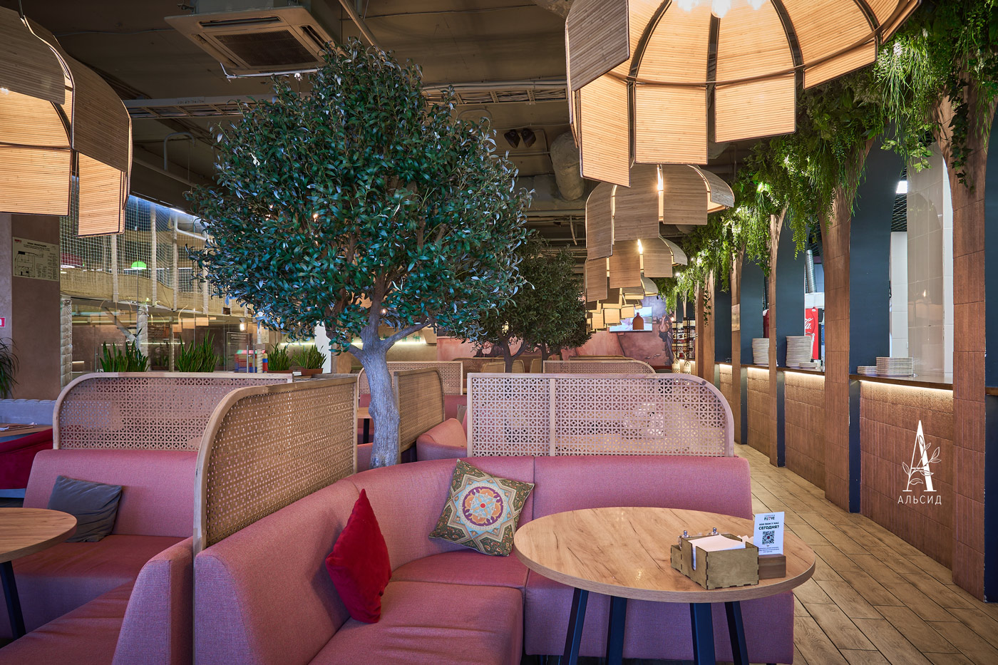 300разб/465(Promo) Оливковое дерево Премиум разборное h300см_14