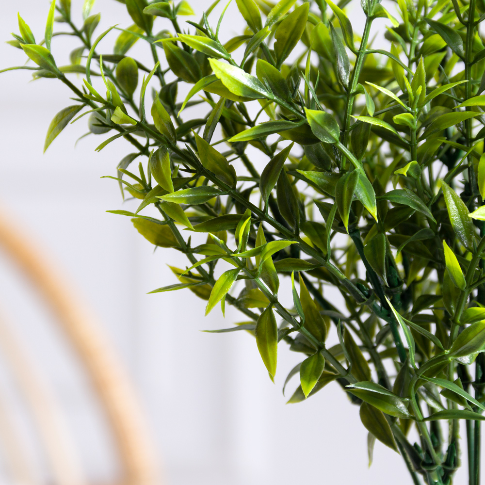 7143/0300-23(F) Аспарагус *7_1