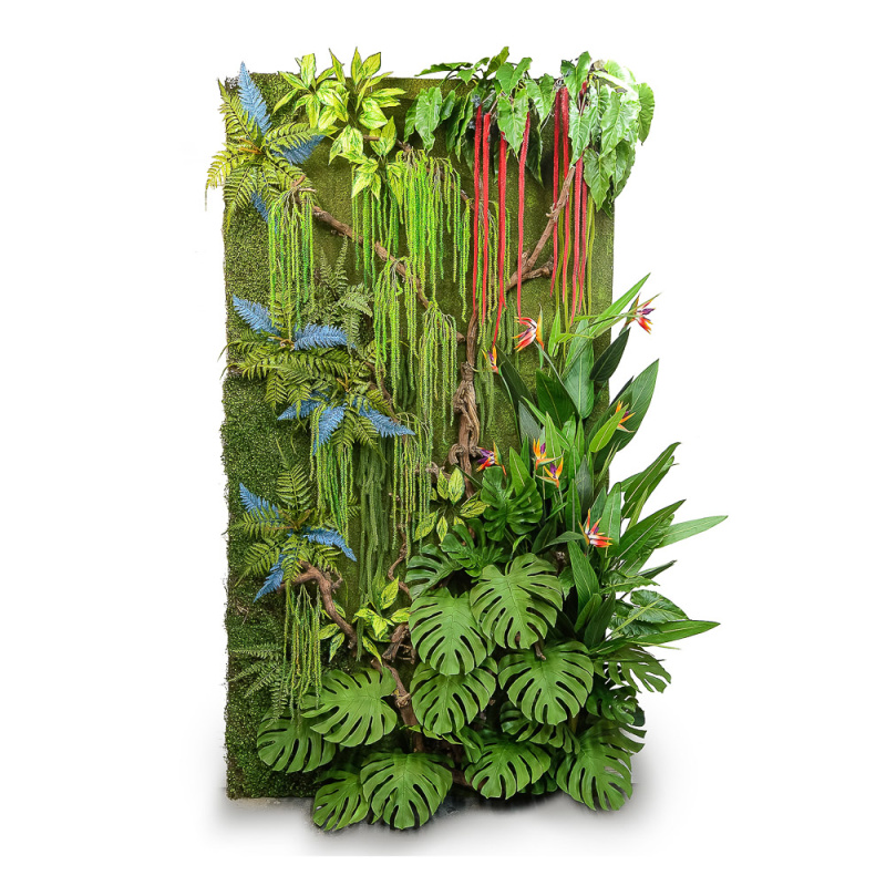 Фитостена 94 Тропики с амарантами