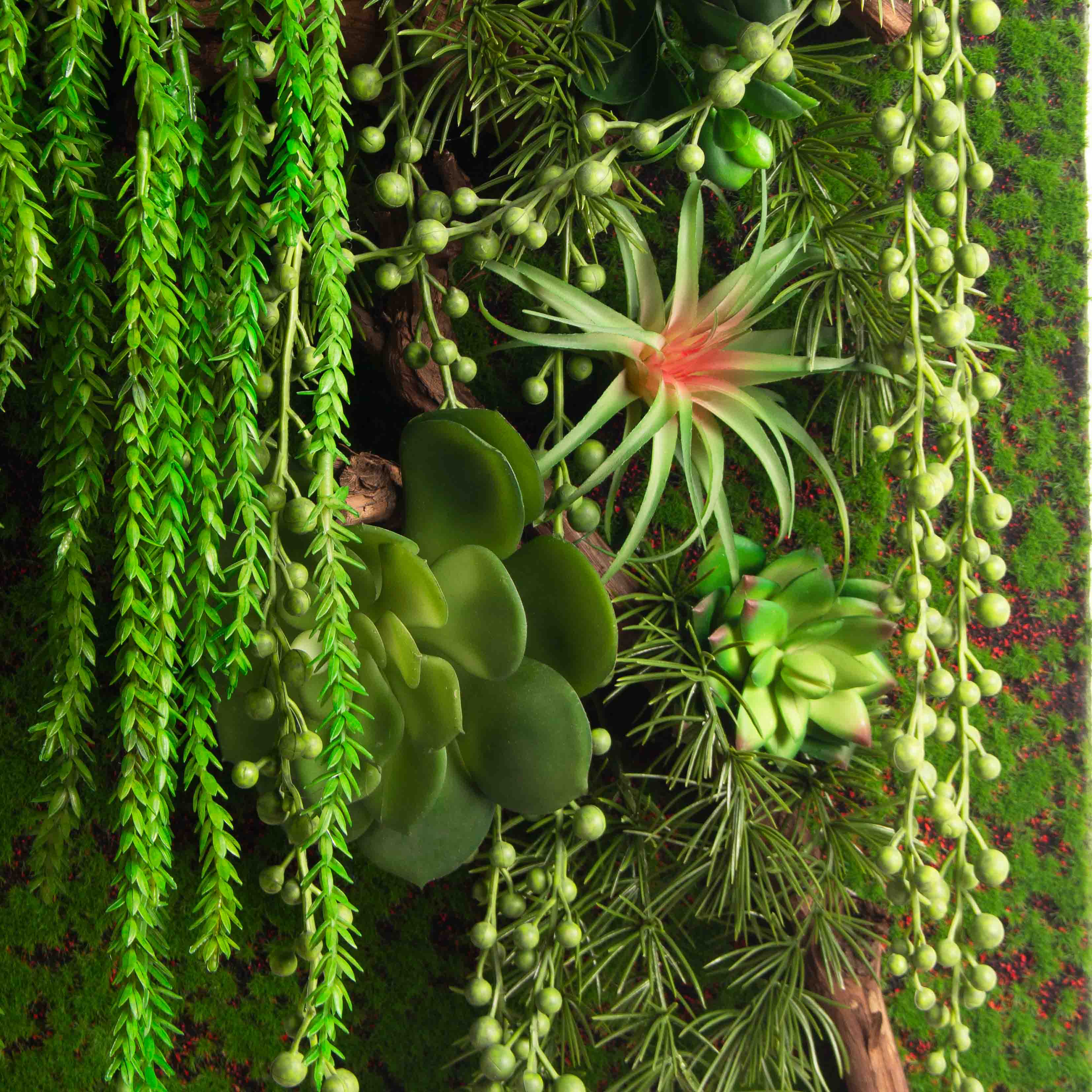 ФК03(з.)(F) Фитокартина с Эхеверией (44х h105см)_7