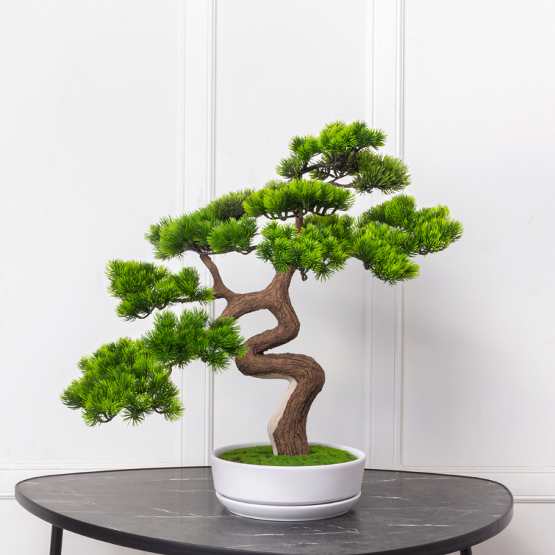 БС050/429-1(Promo) Бонсай сосна искусственный h50см в интерьерном кашпо