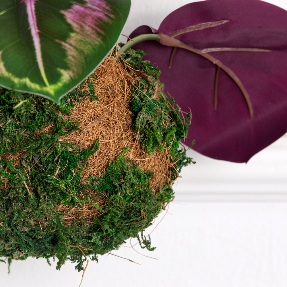 ККД57/214(з)(F) Кокедама искусственная с калатеей d10см, зелено-фиолетовый_1