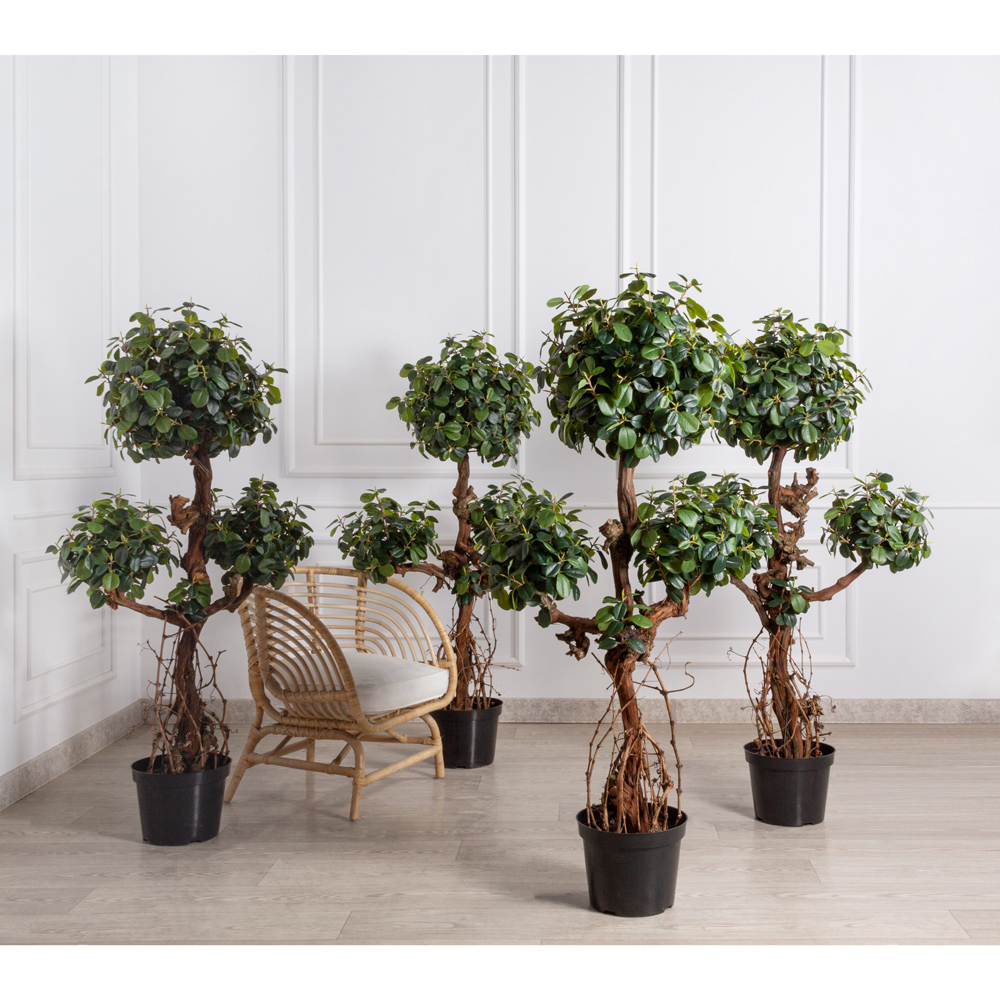 160/3К/ОС/Кор/527(Пр)(F) Фикус искусственный Грин Исланд, h160см_9