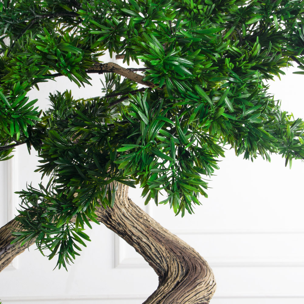 210МЕТ/АСС/241(з)(F) Подокарпус интерьерный h180 d150см_10