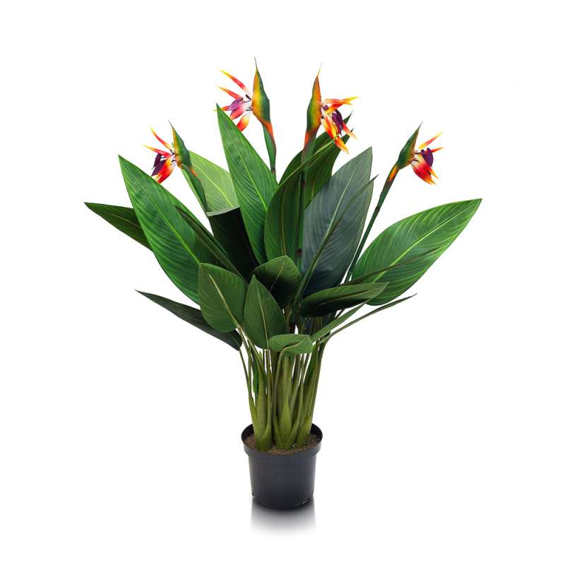 110/2К/357 Куст Стрелиции *4  h110см(силикон/полиуретан)