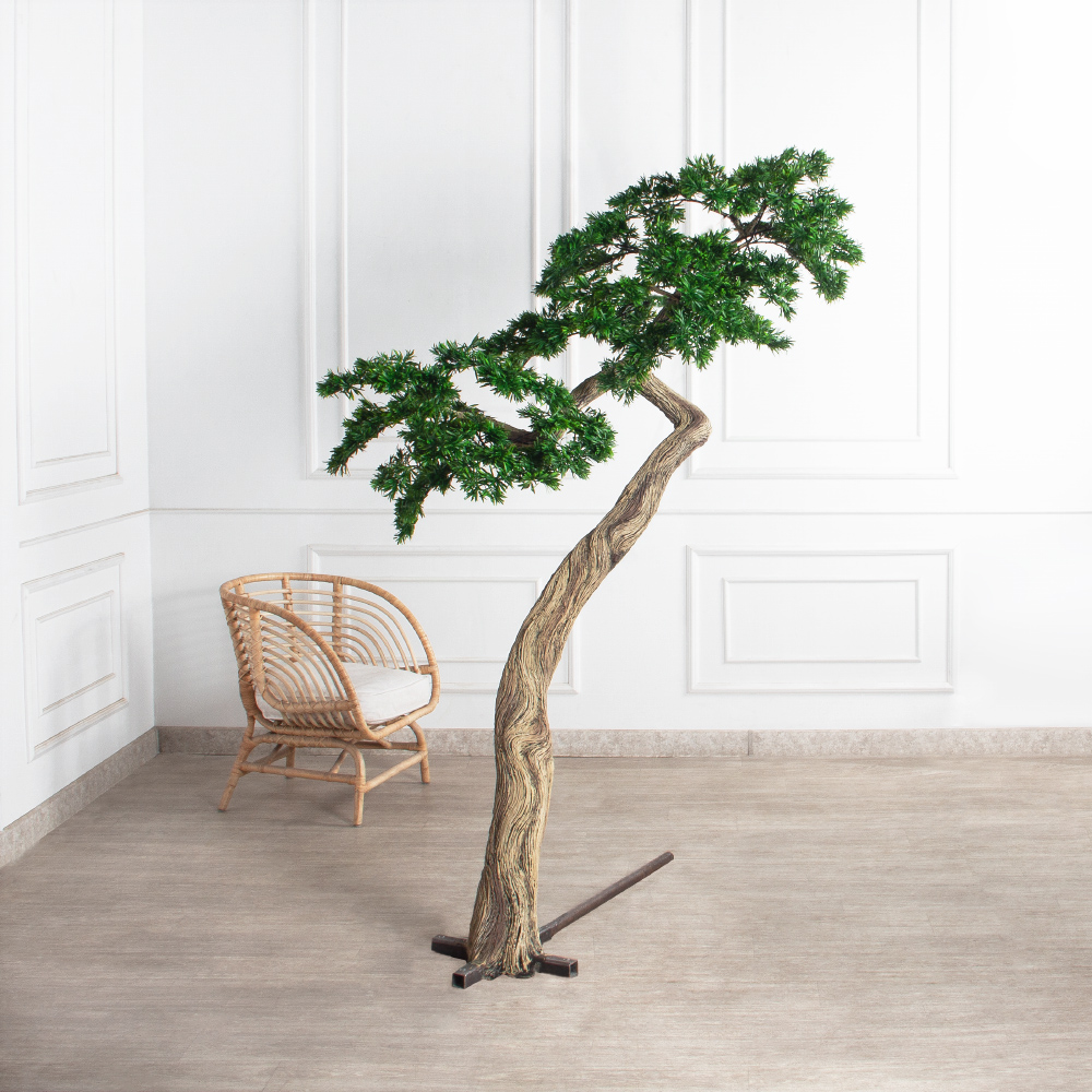 210МЕТ/АСС/241(з)(F) Подокарпус интерьерный h180 d150см_2