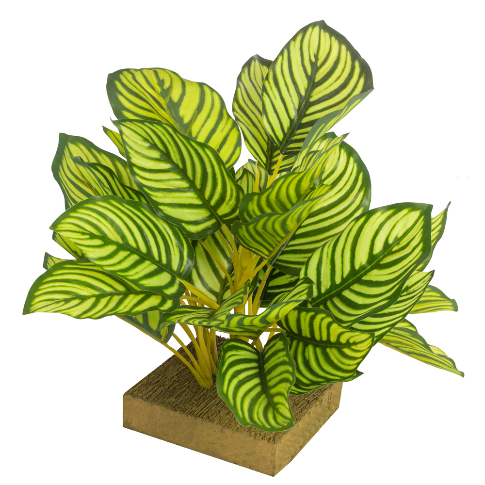 ВМ21/1(з.) Вставка с калатеей h32см, 12*12см (латекс)_10