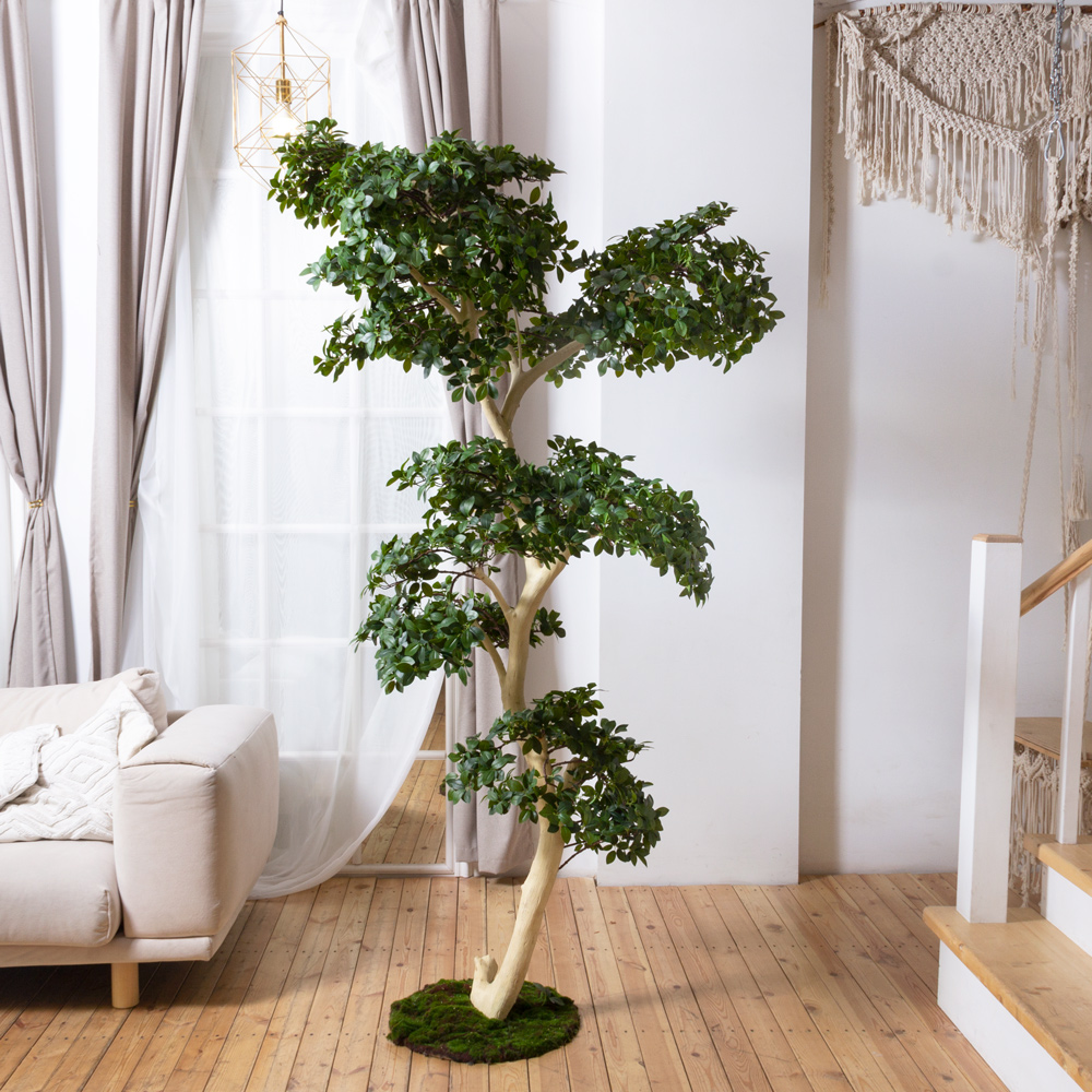 БЛ230/ДА/516(Пр)(F)(Акция) Бонсай искусственный Фикус Микрокарпа h230см (латекс) на основании _11