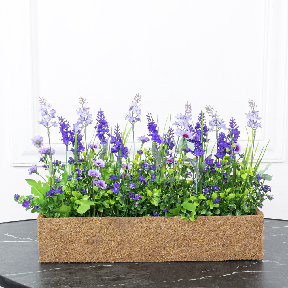 Б007-2 Бордюр Лаванда h25см фиолетовая в кокосовом боксе 50*7*h8_6