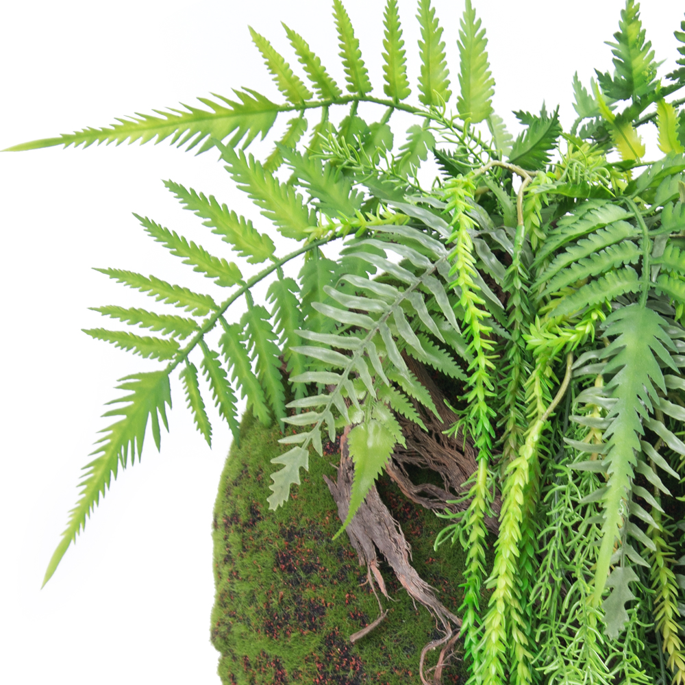 БТФ020-1(з.) Кочка с папоротником и ампельным аспарагусом d35см_2