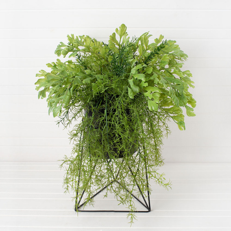 КС/МП43 Зелень ампельная h32см в кашпо d14см на металлической подставке h-25см