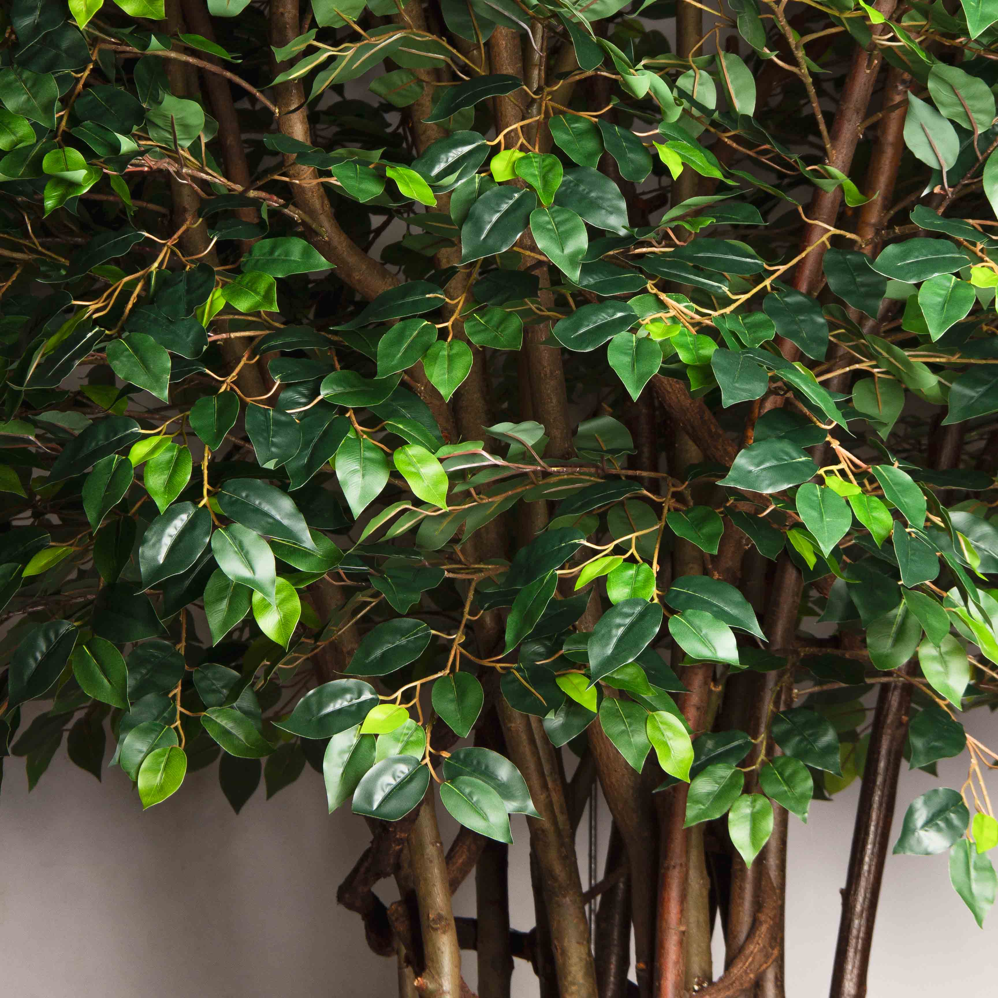 300/РН/Л/34(Пр)(F)Фикус искусственный h300см (латекс) на основании_3