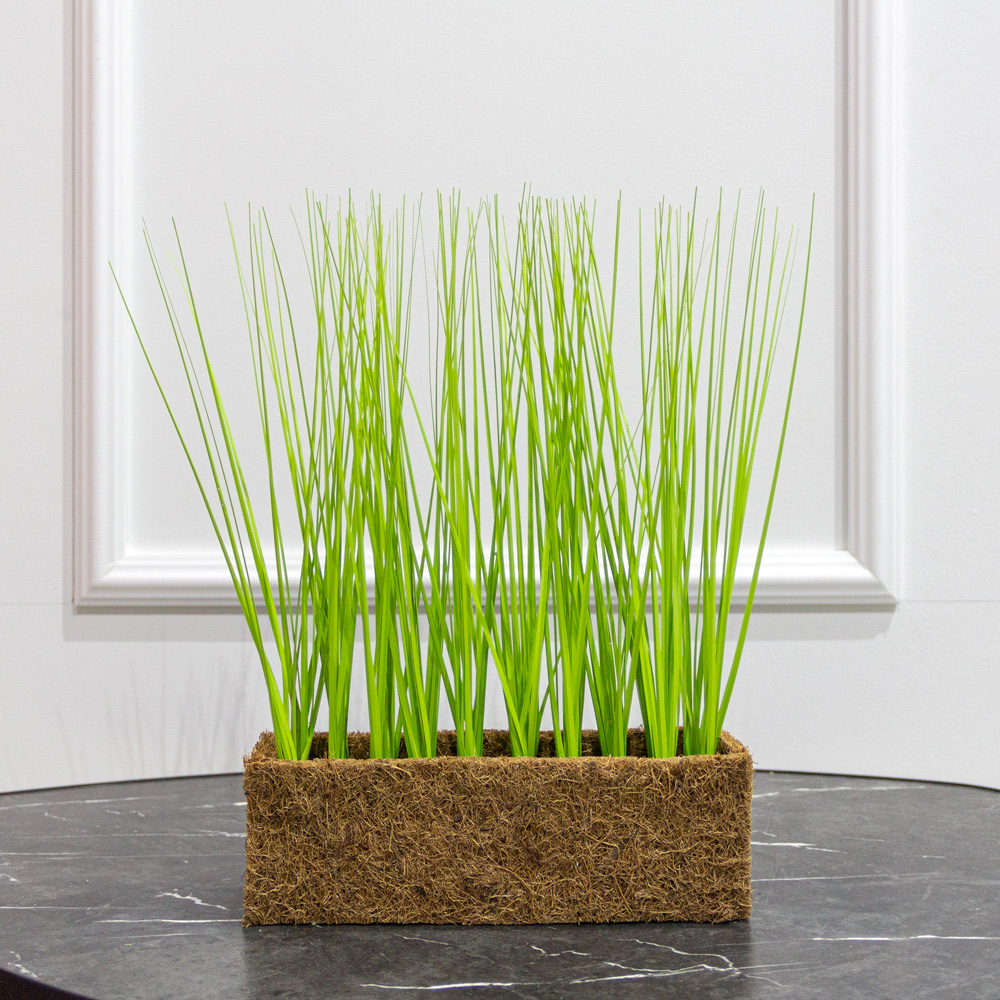 ТД0200(Promo) Трава искусственная Осока h28см в кокосовом боксе 25х8х8см_8