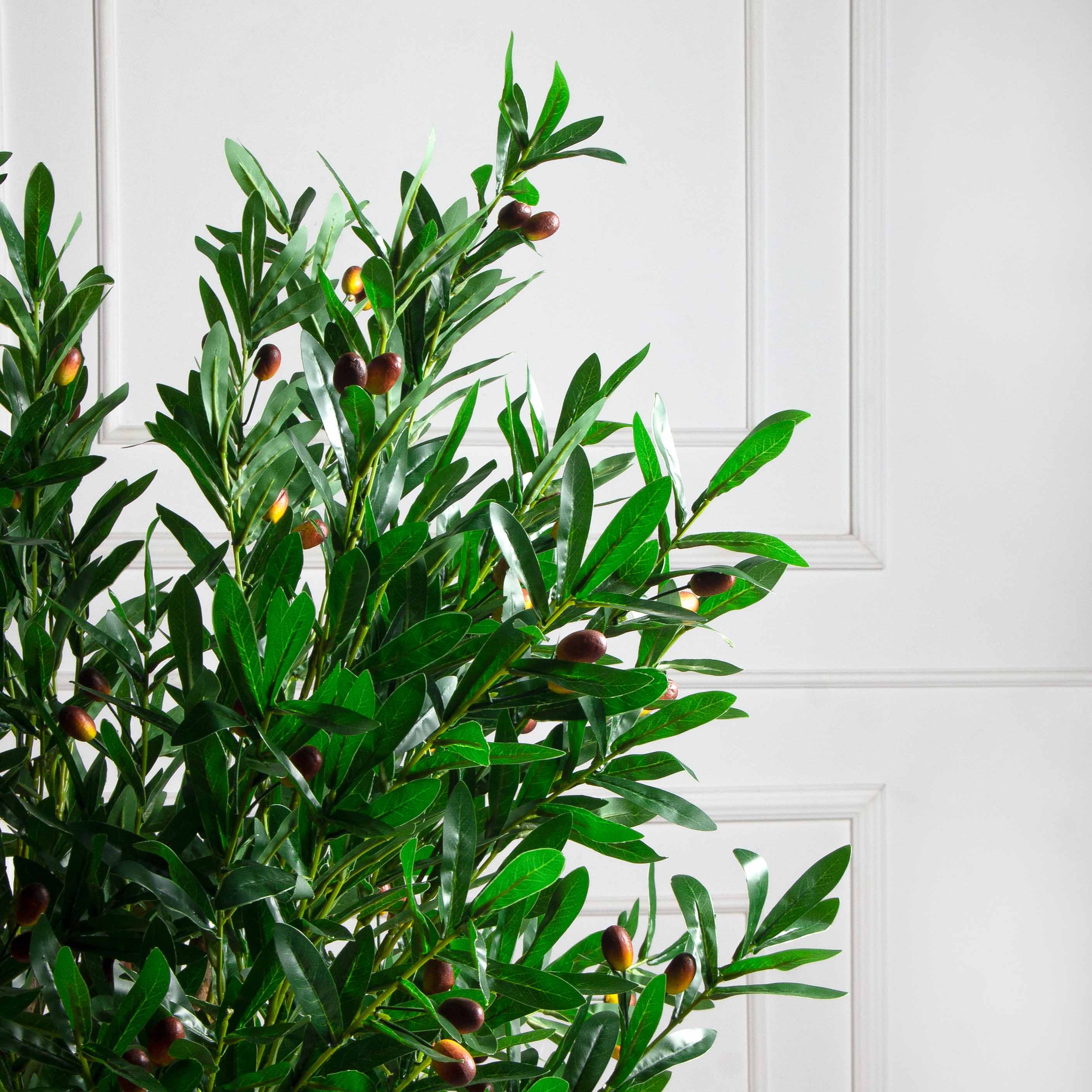160/РН/4655(з)(F) Олива искусственная с плодами h160см на основании 94*40см_7