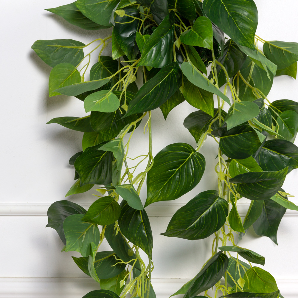 ККД50/120(з)(F) Кокедама искусственная с плющем сциндапсус d10см_1