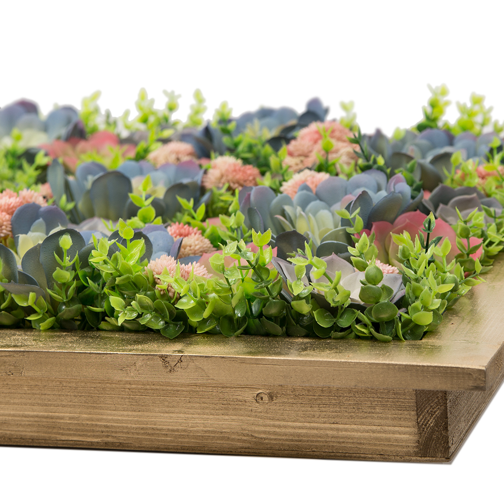 СКФ08(з.) Фитокартина с суккулентами в золотой раме 60*80_3