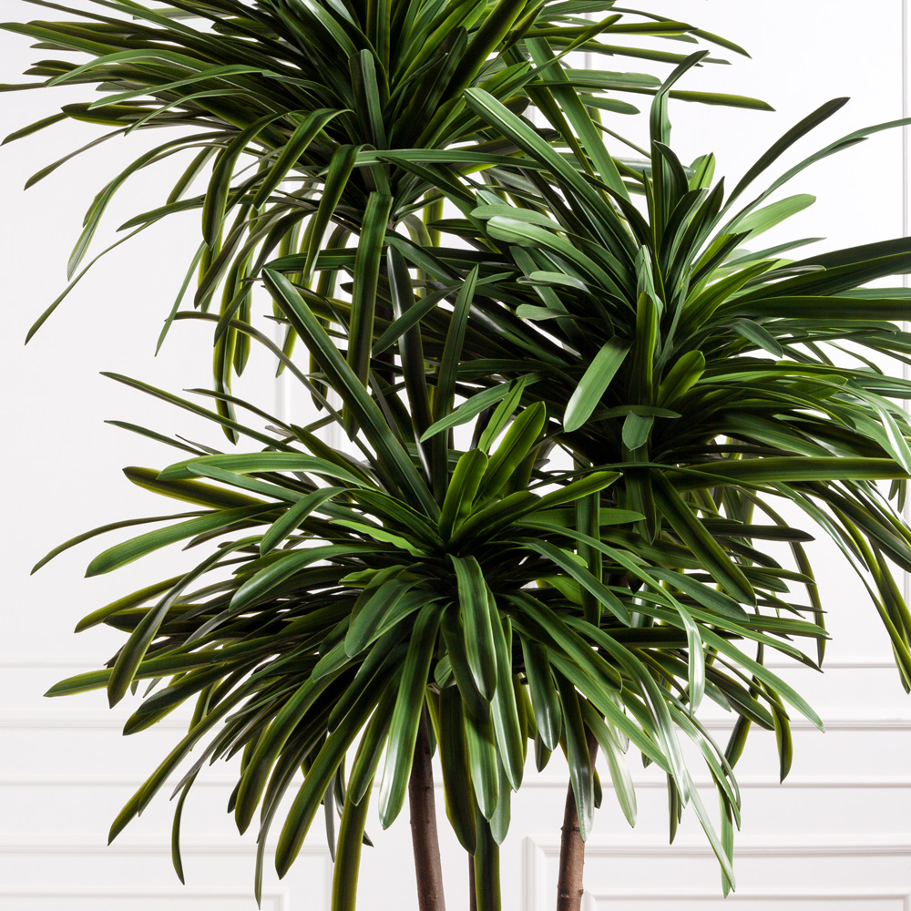 250/3К/608(з)(F) Драцена искусственная h250см, d120см_3