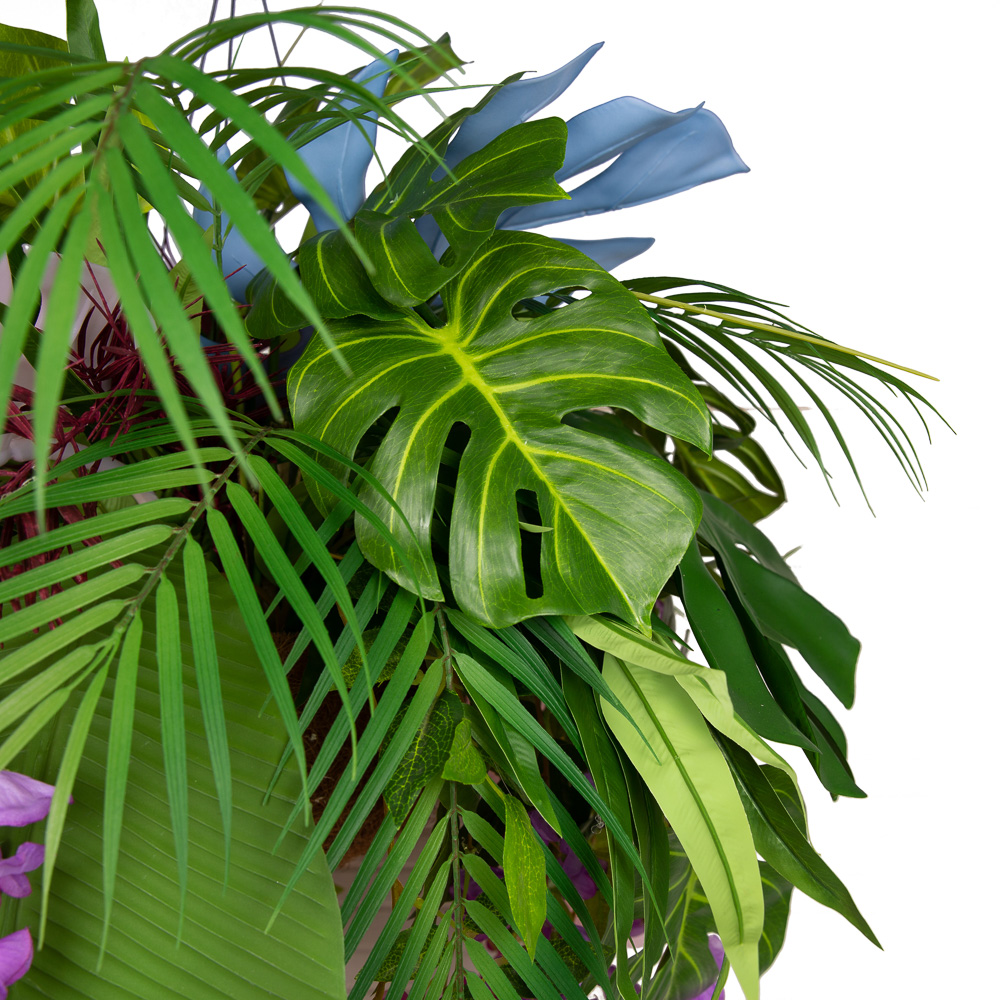 ККВ88/317 Коковита 