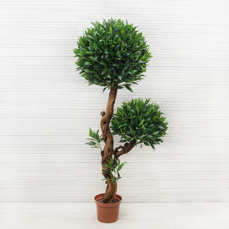 БЛ 180/ОС/2К/27М(з) Лавр (латекс) 180см