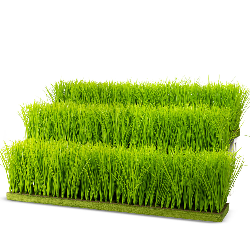 ТД058-15/1(з) Трава Осока h 20см на основании (84*17*3)_4