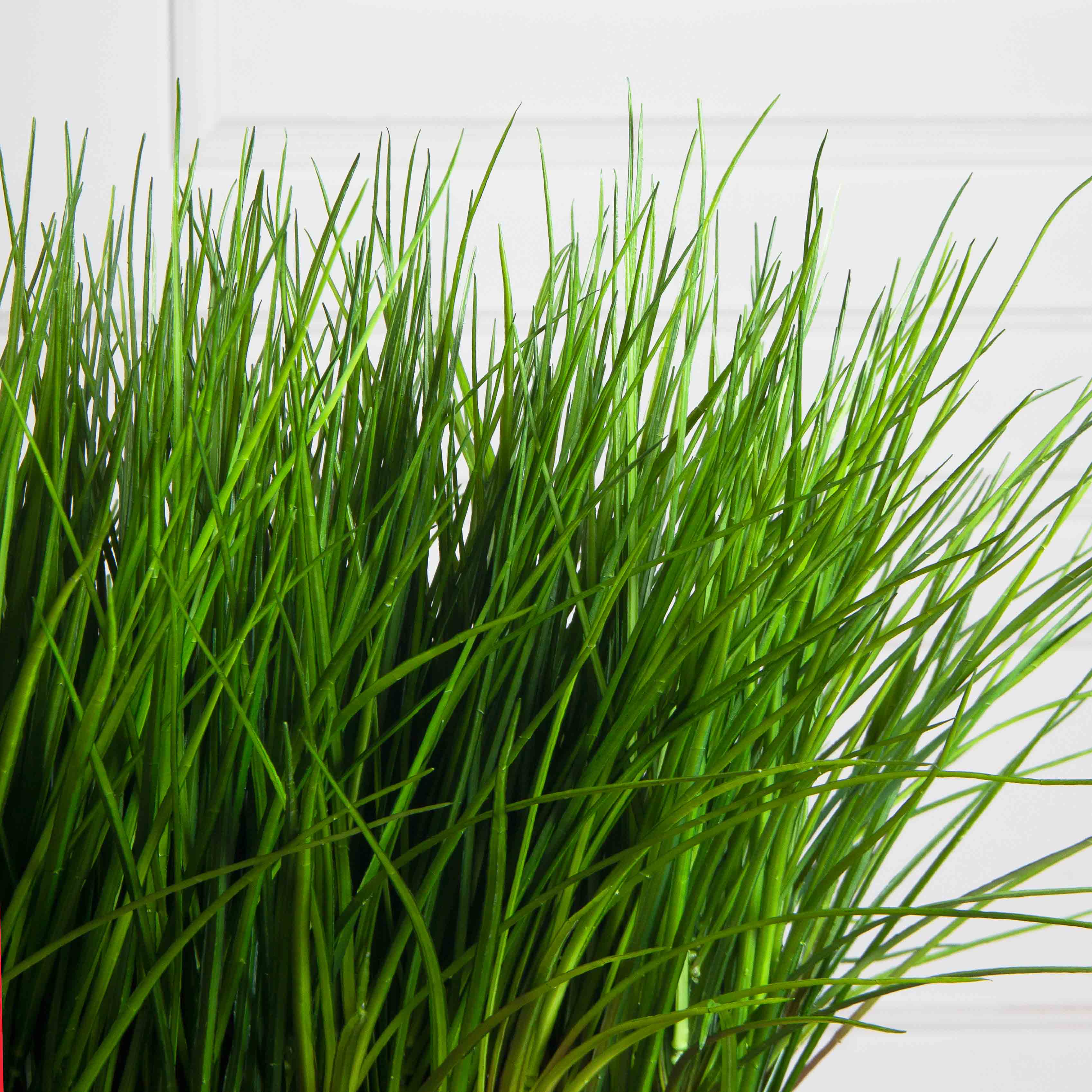 ТД078-1(F) Трава Осока искусственная h36см в кокосовом боксе 50х10х10см_4