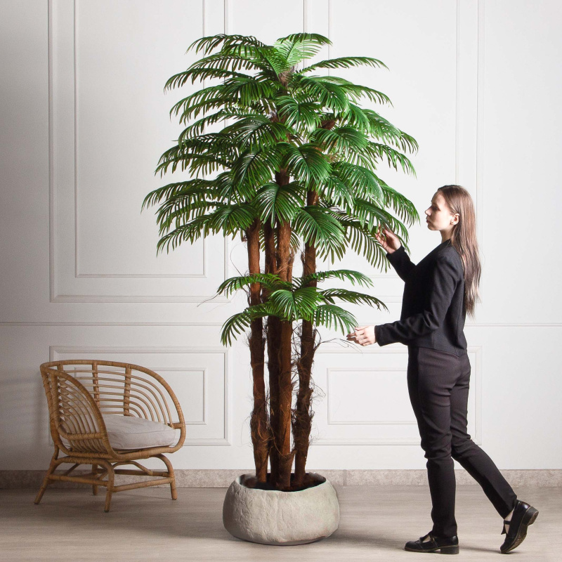 ПС240/5К/49Л(з)(F) Пальма Арека искусственная h240см (латекс)_1