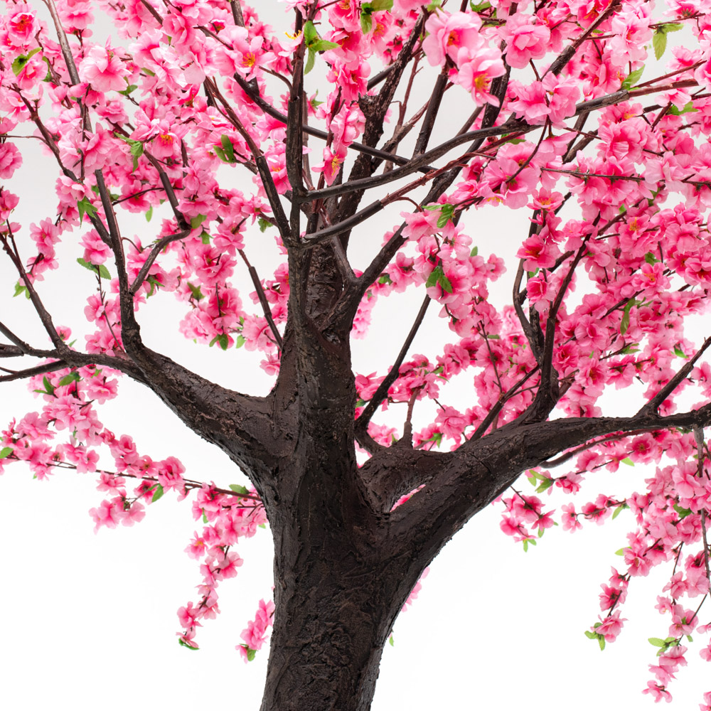 320разб/46-2/1_3