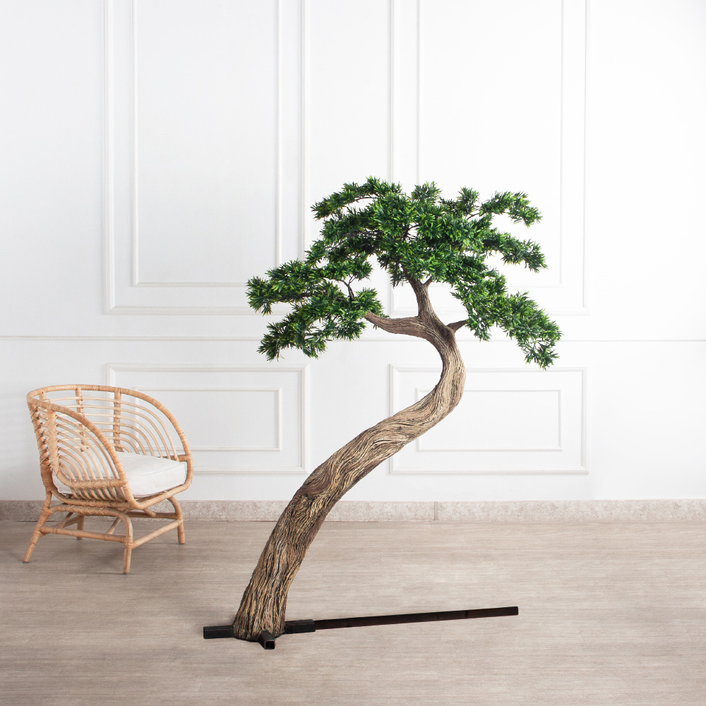 170МЕТ/АСС/241(з)(F) Подокарпус интерьерный h170 d120см_4