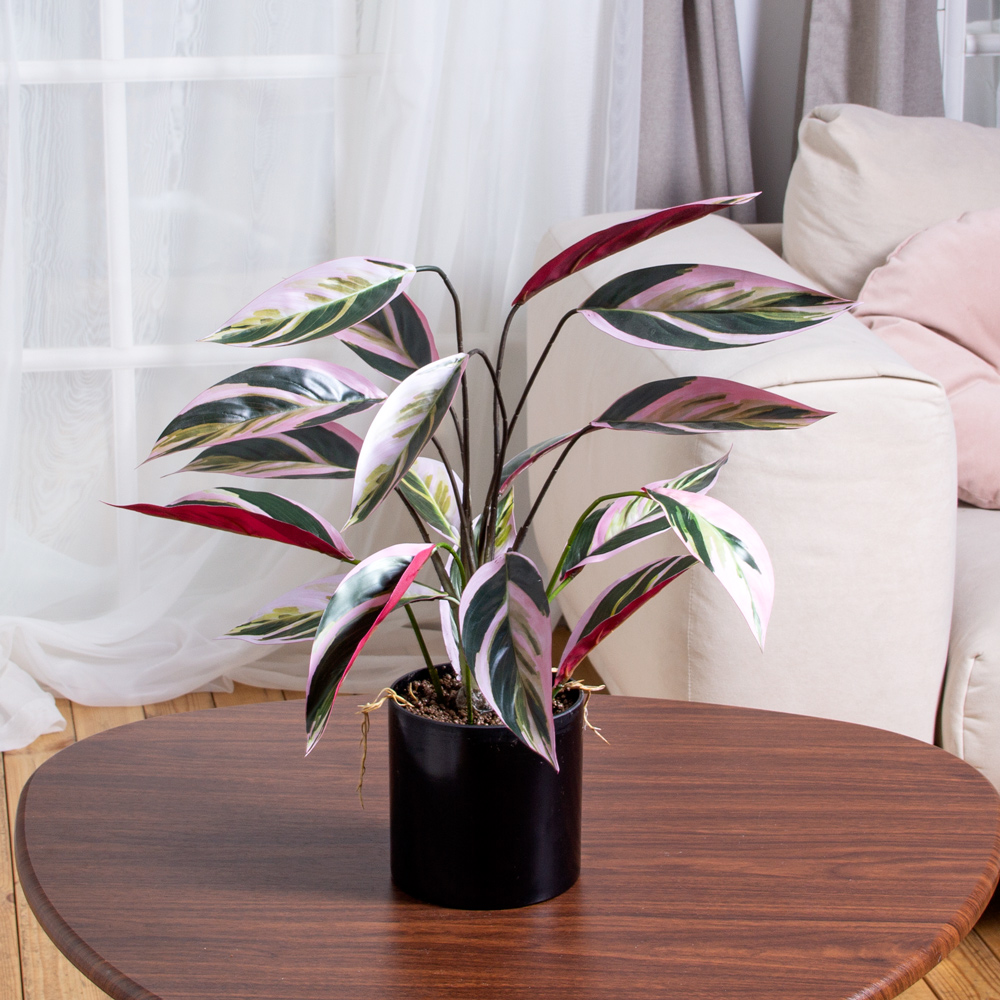 ЦС212-2(F) Калатея искусственная Строманта,  розово-зеленая_4