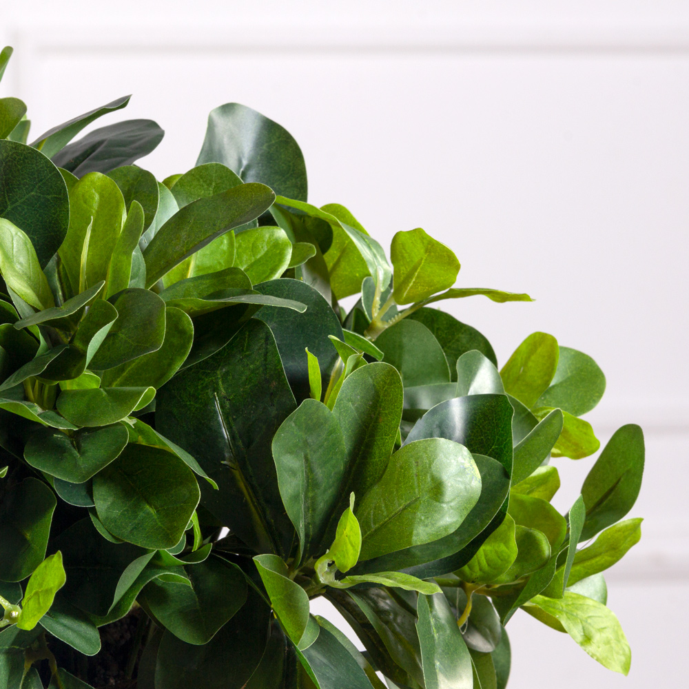 ЦС85/1(з) Питтоспорум искусственный в круглом кокосовом кашпо d15xh10см_1